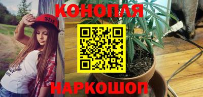 твердый Будённовск
