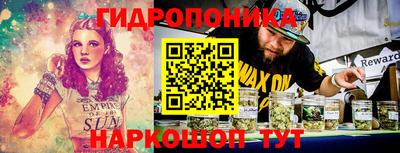 твердый Будённовск