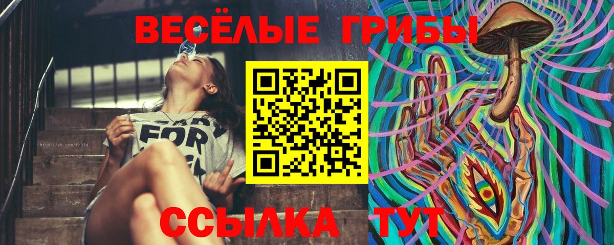 Псилоцибиновые грибы прущие грибы Партизанск