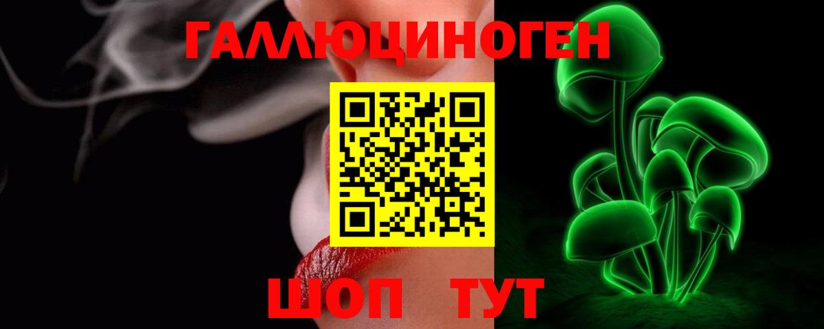 Партизанск  Псилоцибиновые грибы Psilocybine cubensis  хочу наркоту  Вход с VPN 